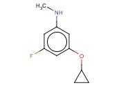 3-<span class='lighter'>Cyclopropoxy-5-fluoro</span>-N-methylaniline