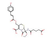 OGANOMYCIN <span class='lighter'>GB</span>