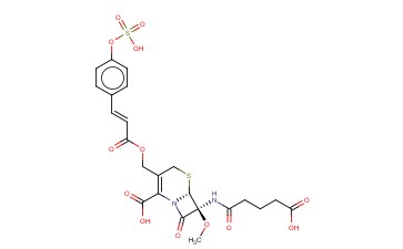 <span class='lighter'>OGANOMYCIN</span> <span class='lighter'>GA</span>