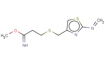 FAMOTIDINE'S <span class='lighter'>INTERMEDIATE</span>