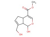 京<span class='lighter'>尼</span>平