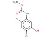 (2,4-DICHLORO-5-HYDROXY-PHENYL)-CARBAMIC ACID METHYL ESTER