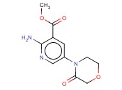 METHYL 2-AMINO-5-(3-OXOMORPHOLINO)<span class='lighter'>NICOTINATE</span>