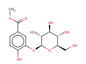 WOODORIEN