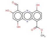 LOMOFUNGIN