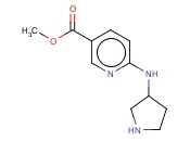 METHYL 6-(3-PYRROLIDINYLAMINO)<span class='lighter'>NICOTINATE</span>