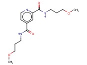 沙<span class='lighter'>非</span>罗<span class='lighter'>尼</span>