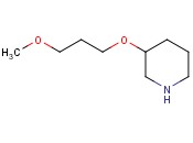 3-(3-METHOXYPROPOXY)PIPERIDINE
