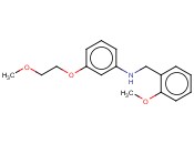 N-(<span class='lighter'>2-METHOXYBENZYL</span>)-3-(2-METHOXYETHOXY)ANILINE