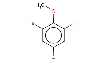 <span class='lighter'>2,6-DIBROMO-4-FLUOROANISOLE</span>