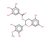 (-)-<span class='lighter'>EGCG</span>-4'-O-ME