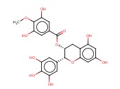 (-)-<span class='lighter'>EPIGALLOCATECHIN</span> 3-(4''-O-METHYL)<span class='lighter'>GALLATE</span>