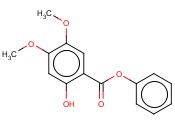 2-<span class='lighter'>羟基</span>-4,5-二<span class='lighter'>甲</span>氧基<span class='lighter'>苯甲酸</span>苯<span class='lighter'>酯</span>