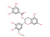 (-)-<span class='lighter'>EGCG</span>-3'-O-ME