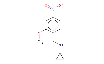 <span class='lighter'>N-CYCLOPROPYL-2-METHOXY-4-NITRO-BENZENEMETHANAMINE</span>