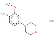 2-METHOXY-4-(MORPHOLIN-4-YL)ANILINE HYDROCHLORIDE