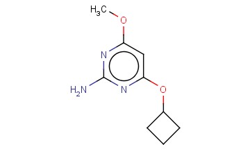 <span class='lighter'>4-CYCLOBUTOXY-6-METHOXYPYRIMIDIN-2-AMINE</span>