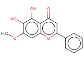 黄芩素-7-<span class='lighter'>甲醚</span>