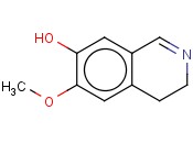 7-<span class='lighter'>羟基</span>-6-甲氧基-3,4-二氢异<span class='lighter'>喹啉</span>