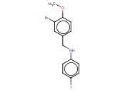 N-[(3-BROMO-4-METHOXYPHENYL)METHYL]-<span class='lighter'>4-IODOANILINE</span>