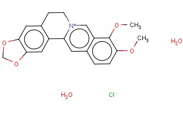 <span class='lighter'>二水</span>氯化小檗<span class='lighter'>碱</span>