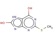 6,8-<span class='lighter'>二</span>羟基-2-甲基<span class='lighter'>巯基</span>嘌呤