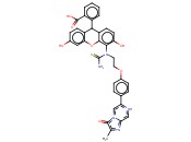 3,7-二氢-6-[4-[2-[N'-(5-荧光素)硫脲基]乙氧基]苯基]-2-甲基咪唑[<span class='lighter'>1.2</span>-A]并吡嗪-3-酮[化学发光试剂]