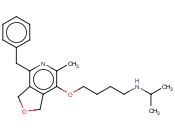 巴芦卡<span class='lighter'>尼</span>