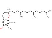 <span class='lighter'>G-TOCOPHEROL</span>