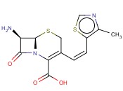 头孢妥仑<span class='lighter'>主</span>环