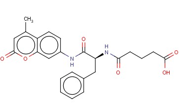 <span class='lighter'>GLUTARYL-PHE-AMC</span>