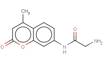 <span class='lighter'>L-GLY-AMC</span>