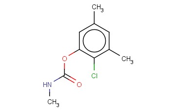 METHYLCARBAMIC ACID 2-CHLORO-3,5-XYLYL ESTER