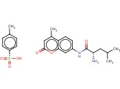 L-<span class='lighter'>LEUCINE</span>-4-METHYLCOUMARYL-7-AMIDE TOSYLATE