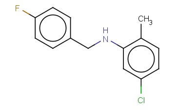 N-(5-CHLORO-2-METHYLPHENYL)-4-<span class='lighter'>FLUOROBENZYLAMINE</span>