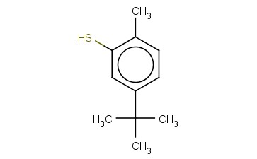 5-<span class='lighter'>叔</span><span class='lighter'>丁基</span><span class='lighter'>邻</span><span class='lighter'>硫</span><span class='lighter'>代</span><span class='lighter'>甲酚</span>
