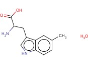 5-<span class='lighter'>甲基</span>-<span class='lighter'>DL-</span><span class='lighter'>色氨酸</span>