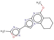 他<span class='lighter'>尼</span>普隆