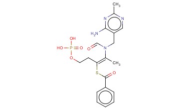 <span class='lighter'>苯</span><span class='lighter'>磷</span><span class='lighter'>硫</span><span class='lighter'>胺</span>