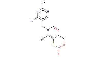 <span class='lighter'>噻</span><span class='lighter'>内脂</span><span class='lighter'>硫</span><span class='lighter'>胺</span>