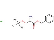 (R)-Benzyl 2-amino-3-(<span class='lighter'>tert-butoxy</span>)propanoate hydrochloride
