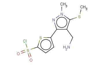 RARECHEM AL BW <span class='lighter'>2008</span>