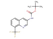 <span class='lighter'>TERT-BUTYL</span> 8-(TRIFLUOROMETHYL)QUINOLIN-3-YLCARBAMATE