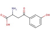 2-amino-4-(3-hydroxyphenyl)-4-oxobutanoic acid