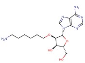 2'-O-(6-aminohexyl)<span class='lighter'>adenosine</span>