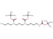 <span class='lighter'>tert</span>-butyl (3-((3-<span class='lighter'>amino</span>propyl)(<span class='lighter'>tert</span>-butoxycarbonyl)<span class='lighter'>amino</span>)propyl)(4-((<span class='lighter'>tert</span>-butoxycarbonyl)<span class='lighter'>amino</span>