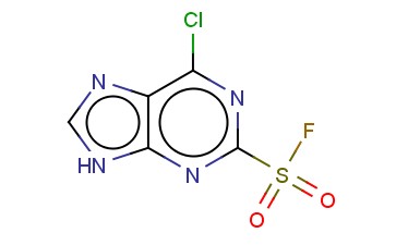 6-<span class='lighter'>氯</span>-9H-<span class='lighter'>嘌呤</span>-2-磺酰氟
