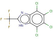 4,5,6,7-TETRACHLORO-2-(TRIFLUOROMETHYL)-1H-BENZIMIDAZOLE