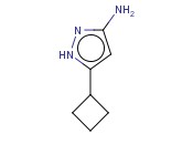 3-氨基-5-环丁基-1H-<span class='lighter'>吡唑</span>