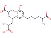 D-<span class='lighter'>焦</span><span class='lighter'>谷氨酸</span>